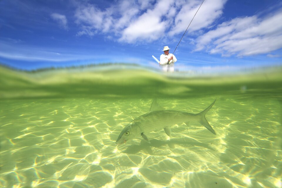 Fly Fishing Delphi Club | The Bahamas